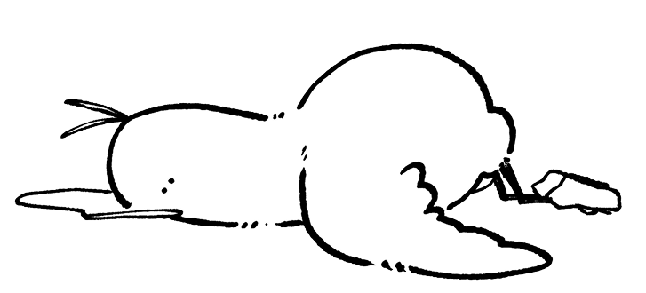 とり